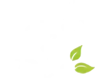 Hair & Bio - Coiffeur à Vitré
