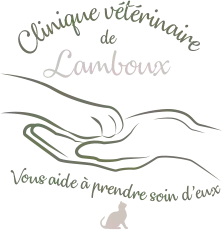 Clinique vétérinaire de Lamboux