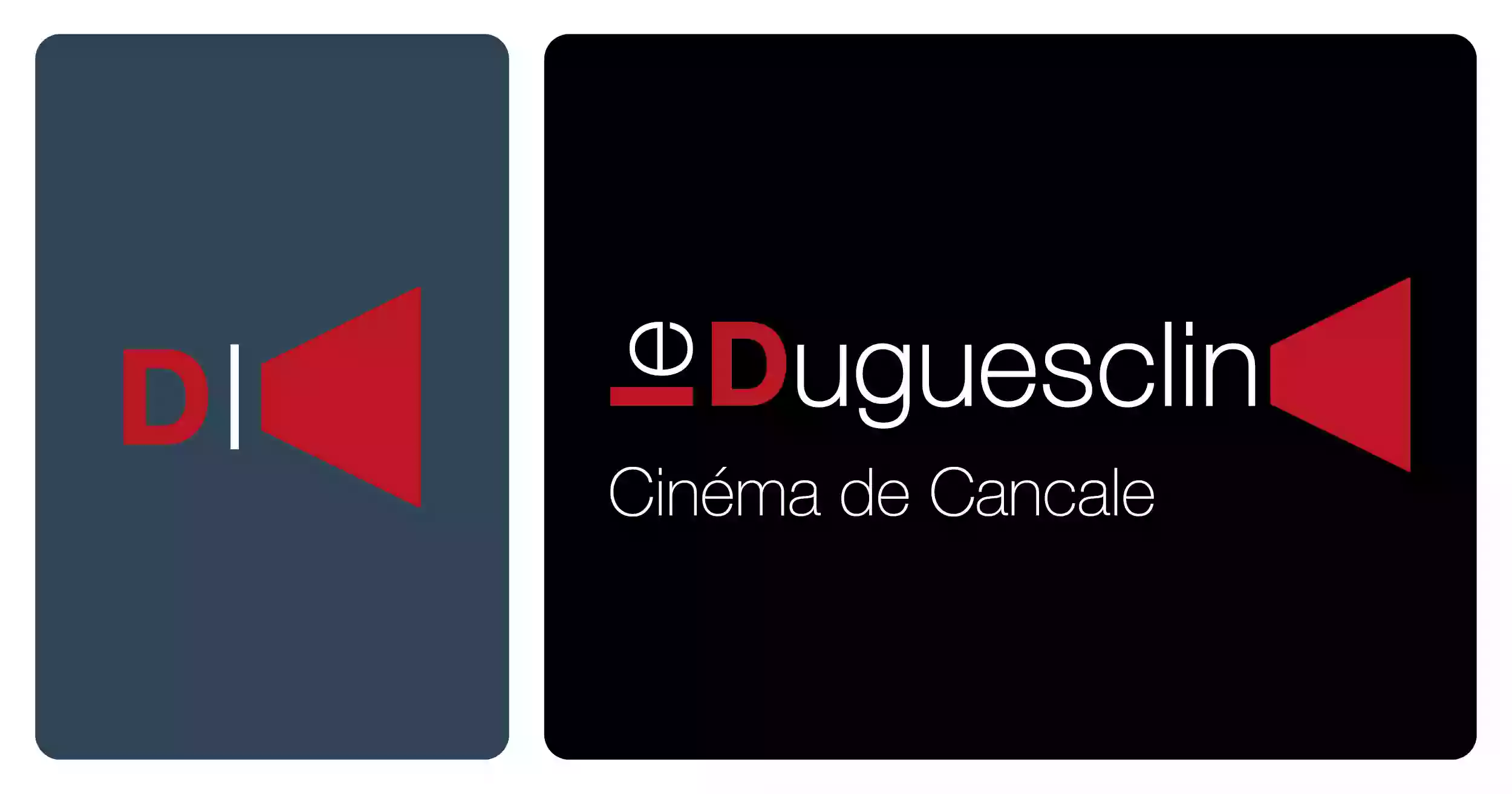 Cinéma Duguesclin