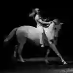 Théâtre Equestre de Bretagne - Equus Arte