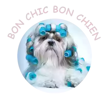 Bon chic bon chien toilettage