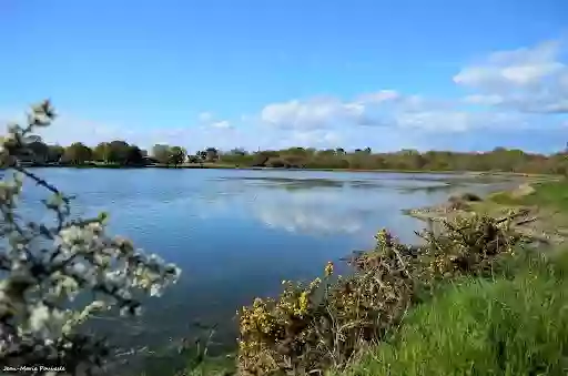 Plage de Locoal