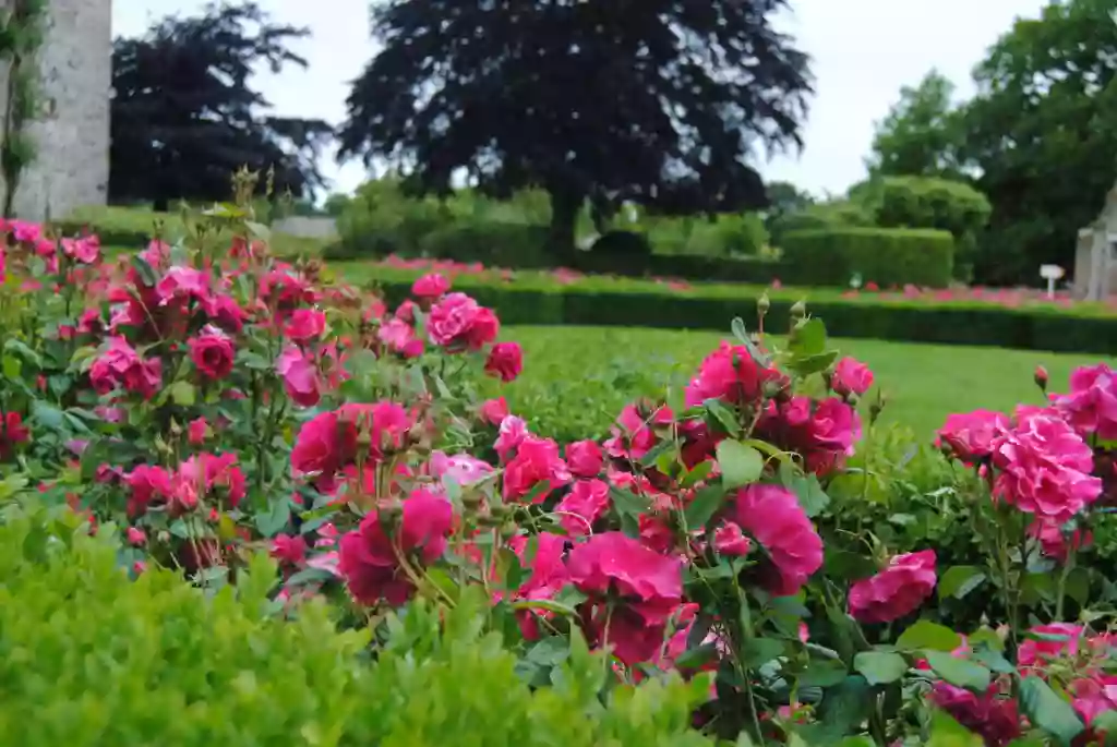 Château et Jardins de Bienassis