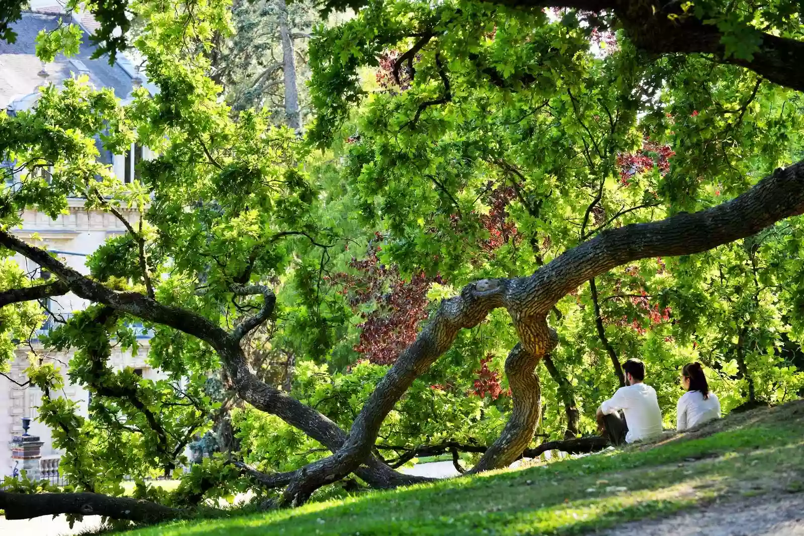 Parc du Berry