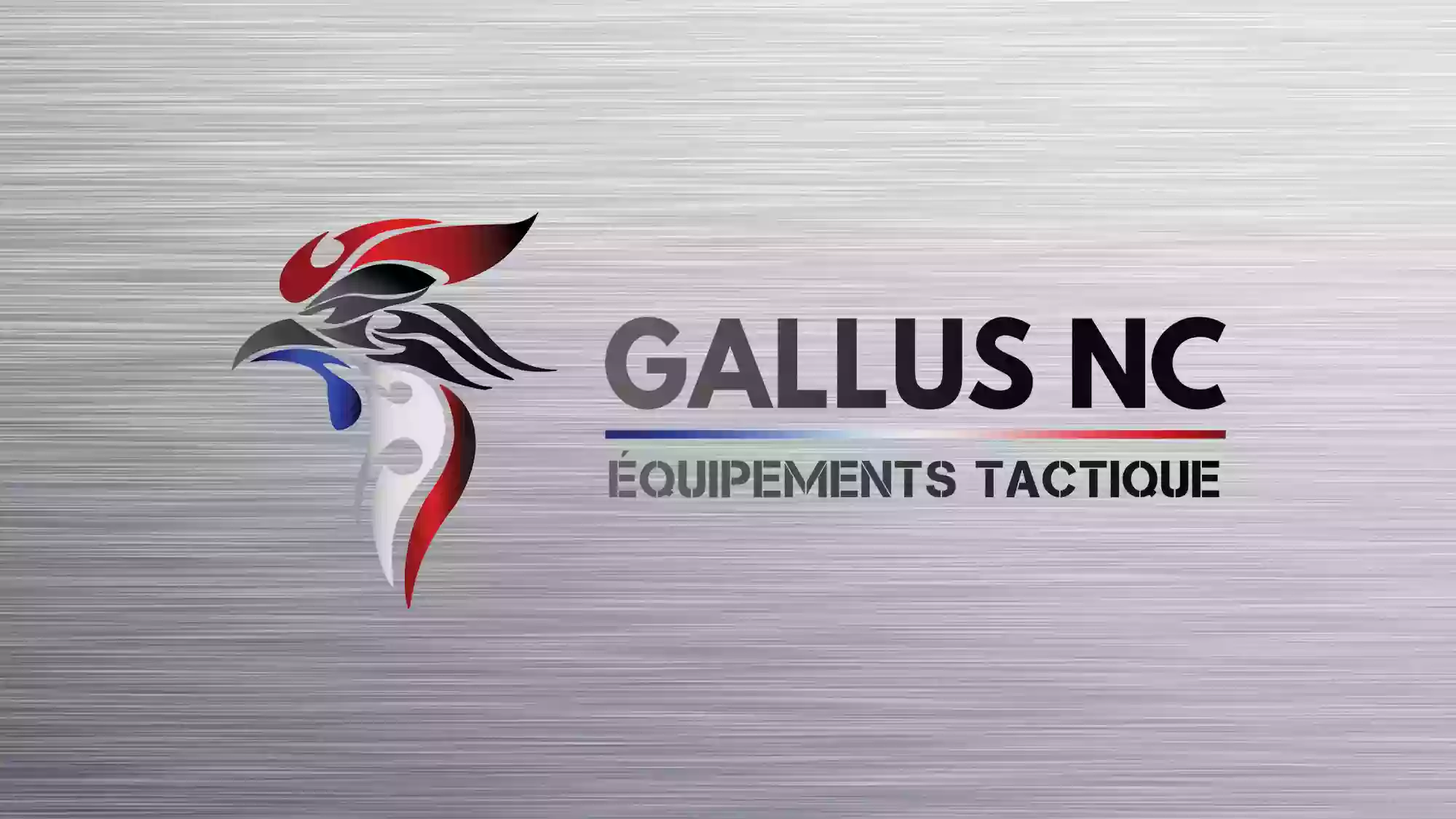 gallus nc