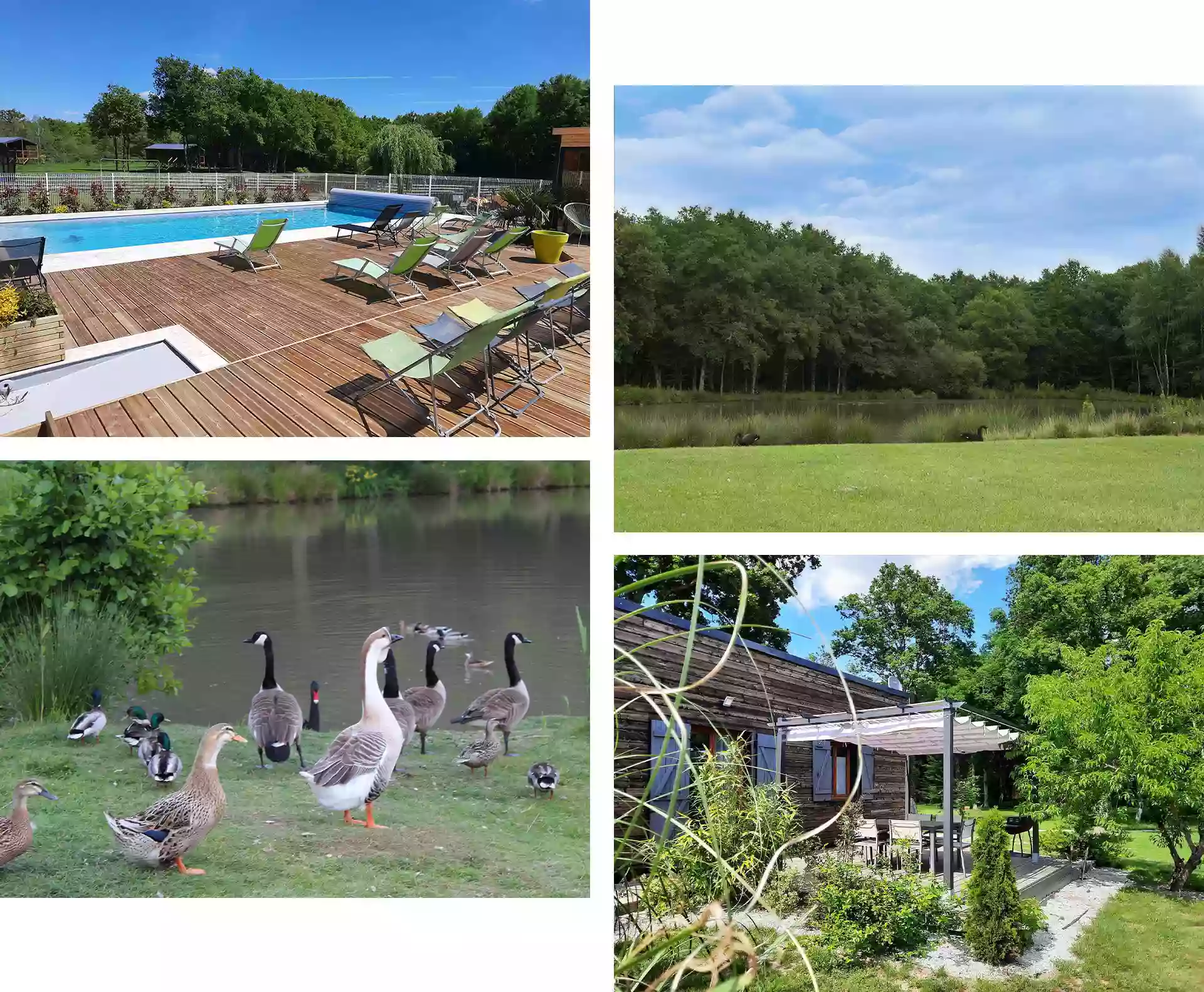 Ferme des Poulardières : Location de gîte et hébergements insolites avec SPA et piscine proche de Chambord. Lodges en bois et chalets situés en Sologne - Loir-et-Cher (41).