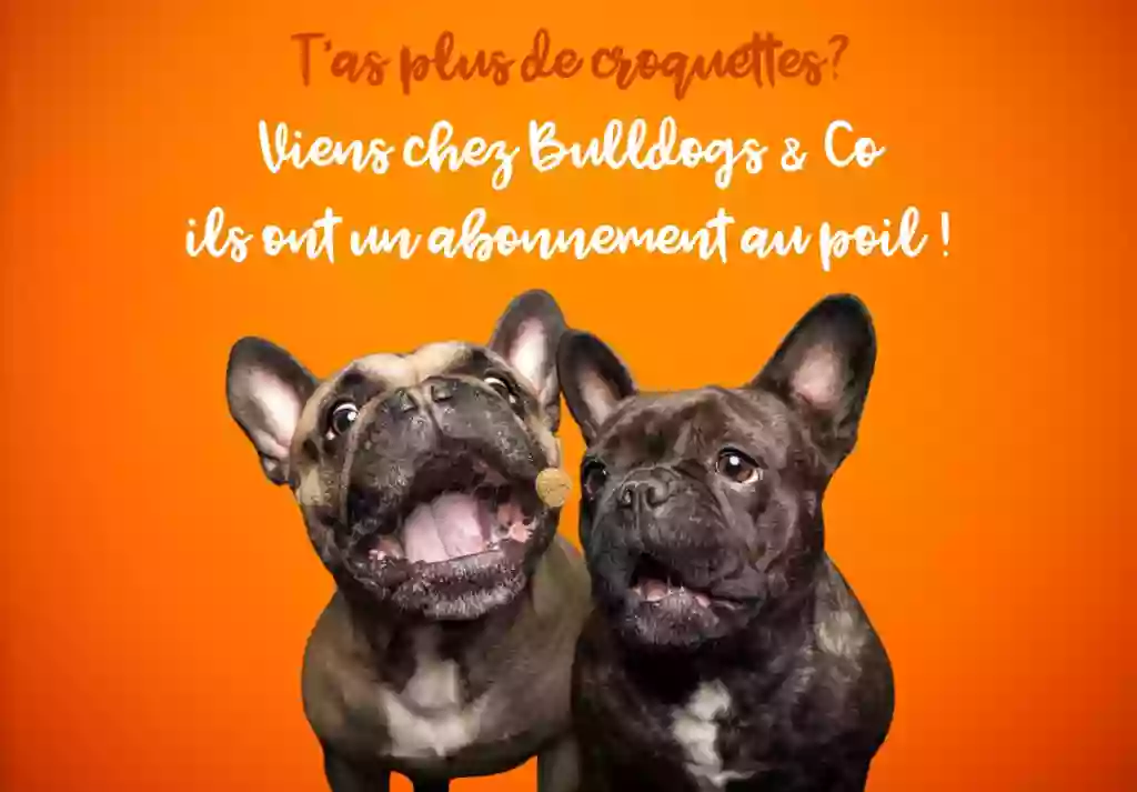 Bulldogs Et Compagnie