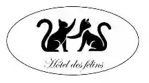 Hôtel des Félins Pension pour chats dans le 28