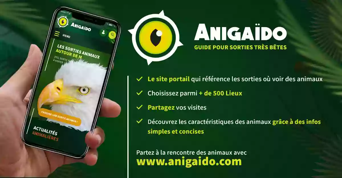 Anigaïdo