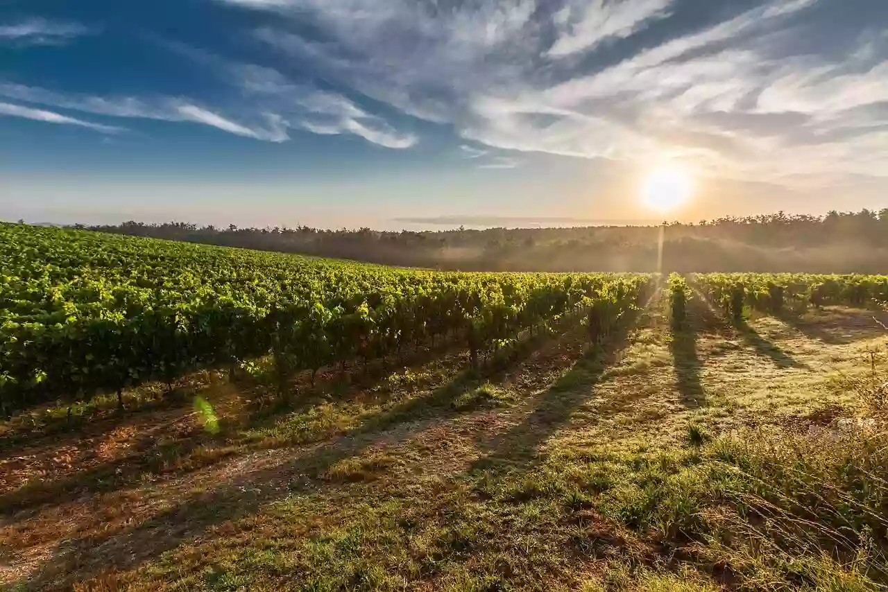 Cerfrance Vouvray