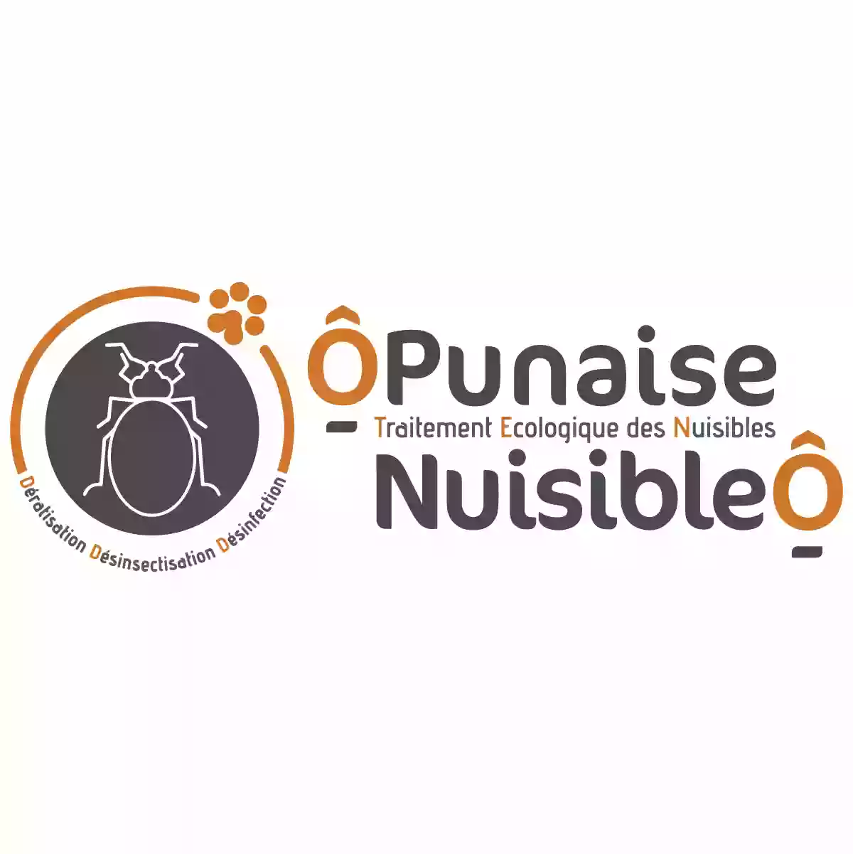 Ô PUNAISE-NUISIBLE Ô