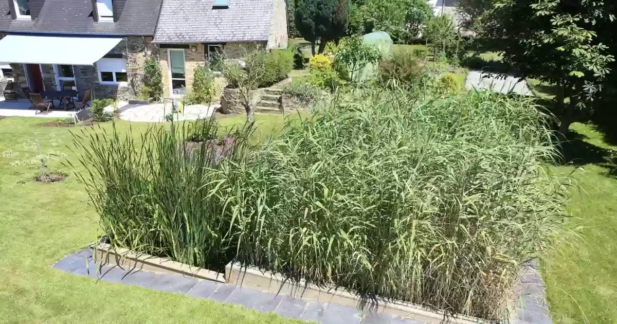 Assainissement AQUATIRIS - Phytoépuration - Sébastien BEAUDEUX