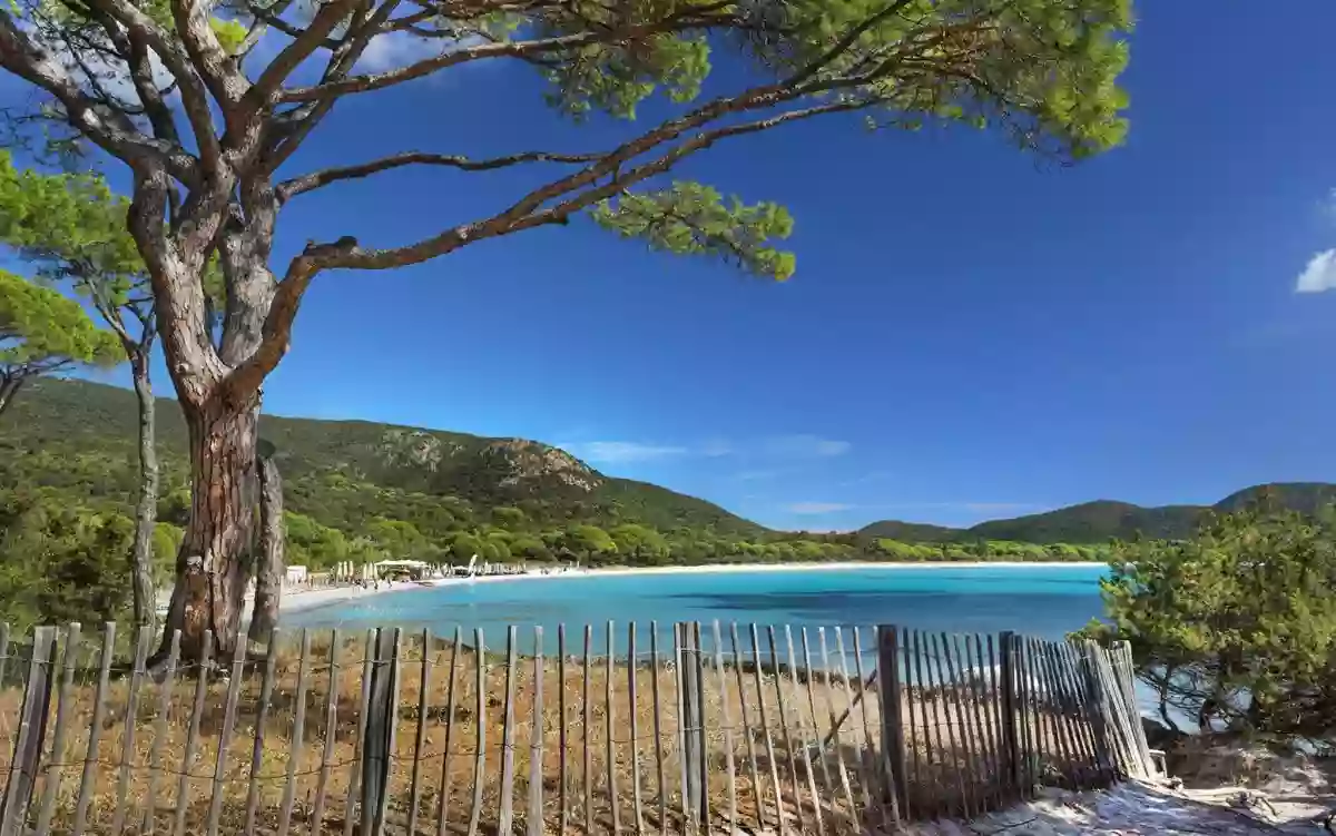 TAMARICCIU DI CALA ROSSA