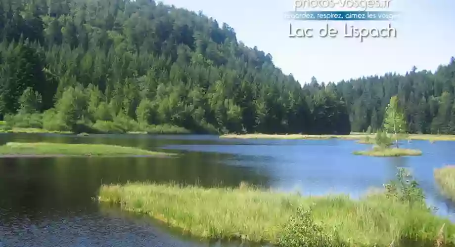 Gîte des Sapins LA BRESSE 15 pers