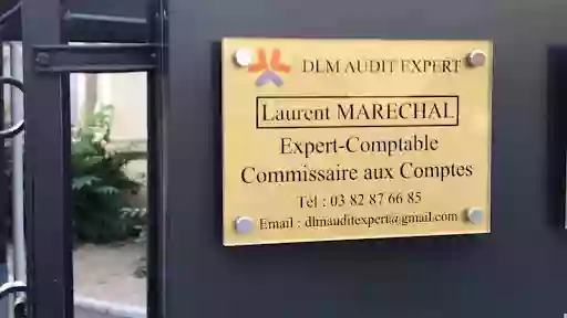 DLM Audit Expert