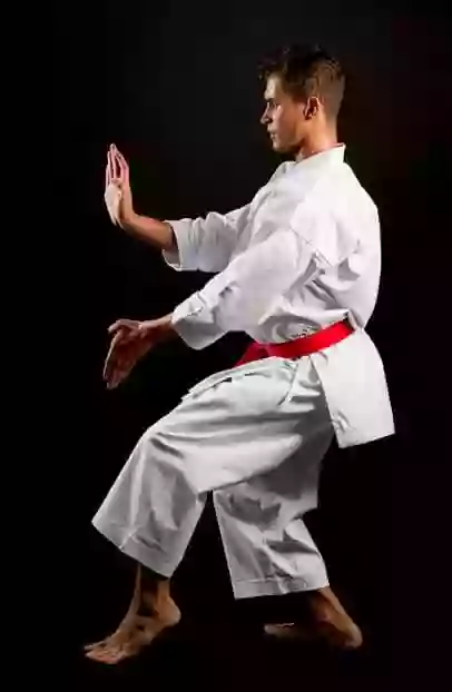 Karate-Gi