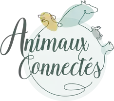 Animaux connectés - thérapeute bien-être pour les animaux