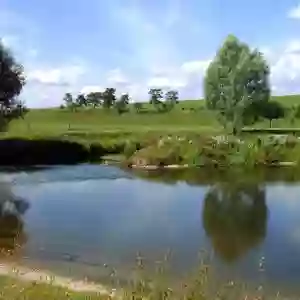 Ferme de la Vaise - Chez Noisette