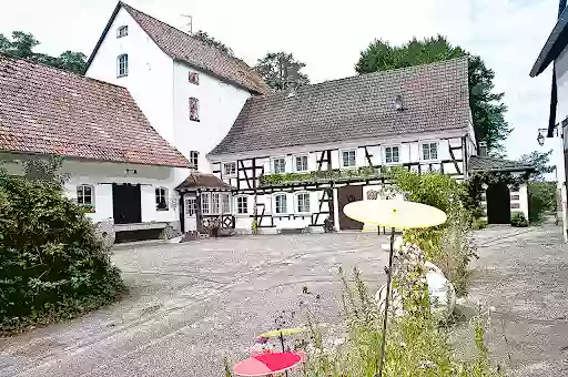 Moulin de Schwabwiller : sa chambre d'hôtes & Gîtes