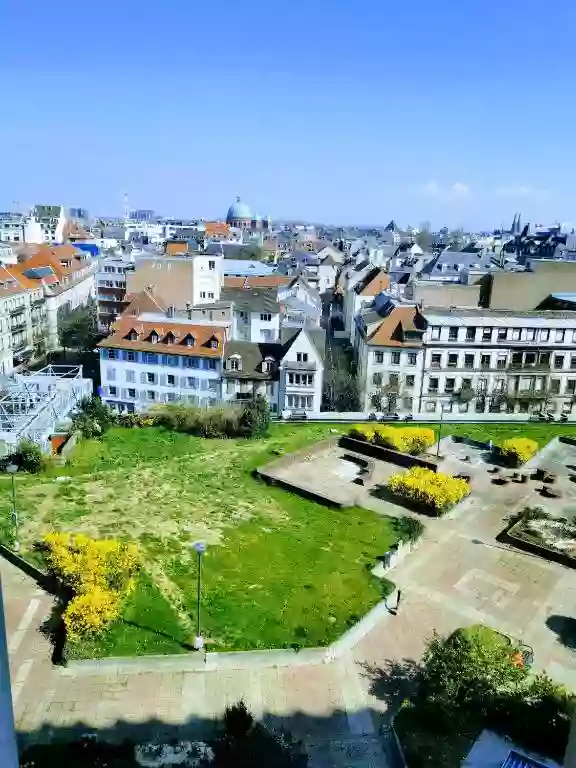 Le Cocon - Vue panoramique Strasbourg