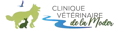 CLINIQUE VETERINAIRE DE LA MODER