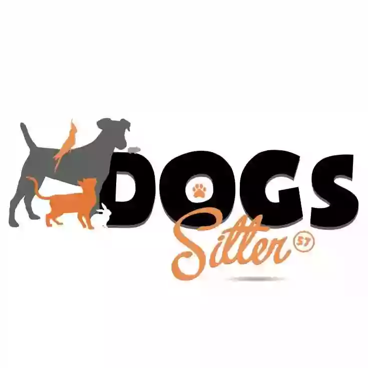 Dogs-sitter 57