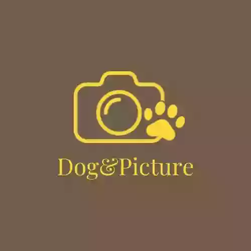 Dog & Picture