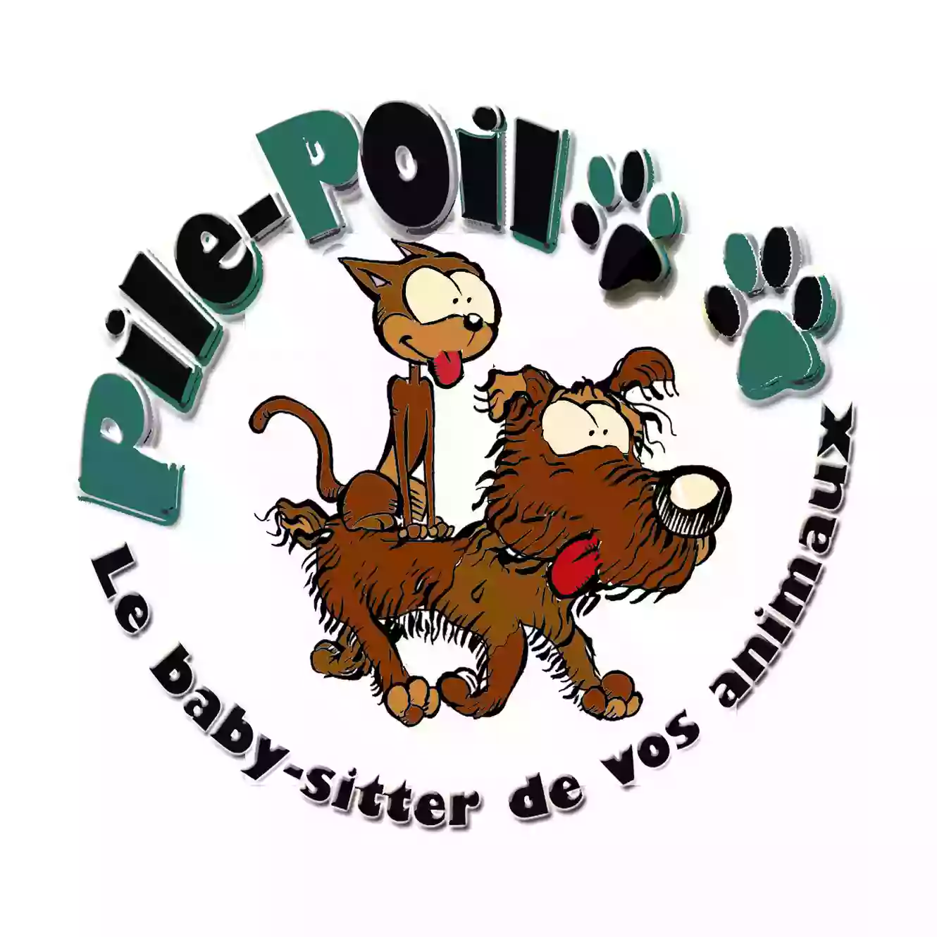 Pile Poil