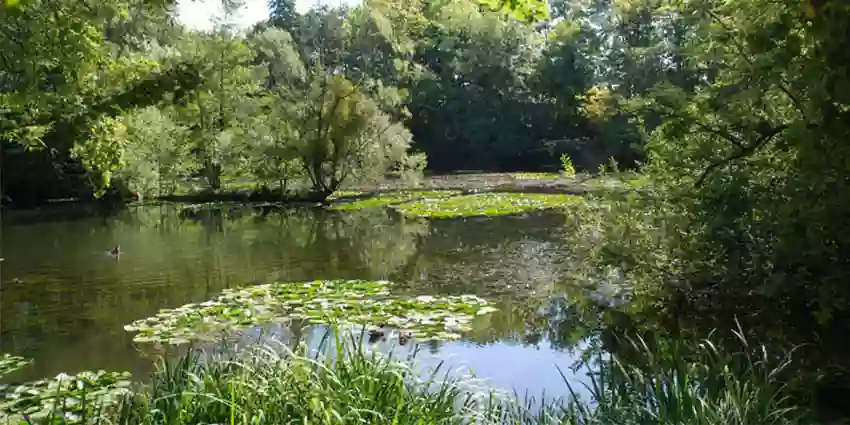 Parc Pierre Pitois