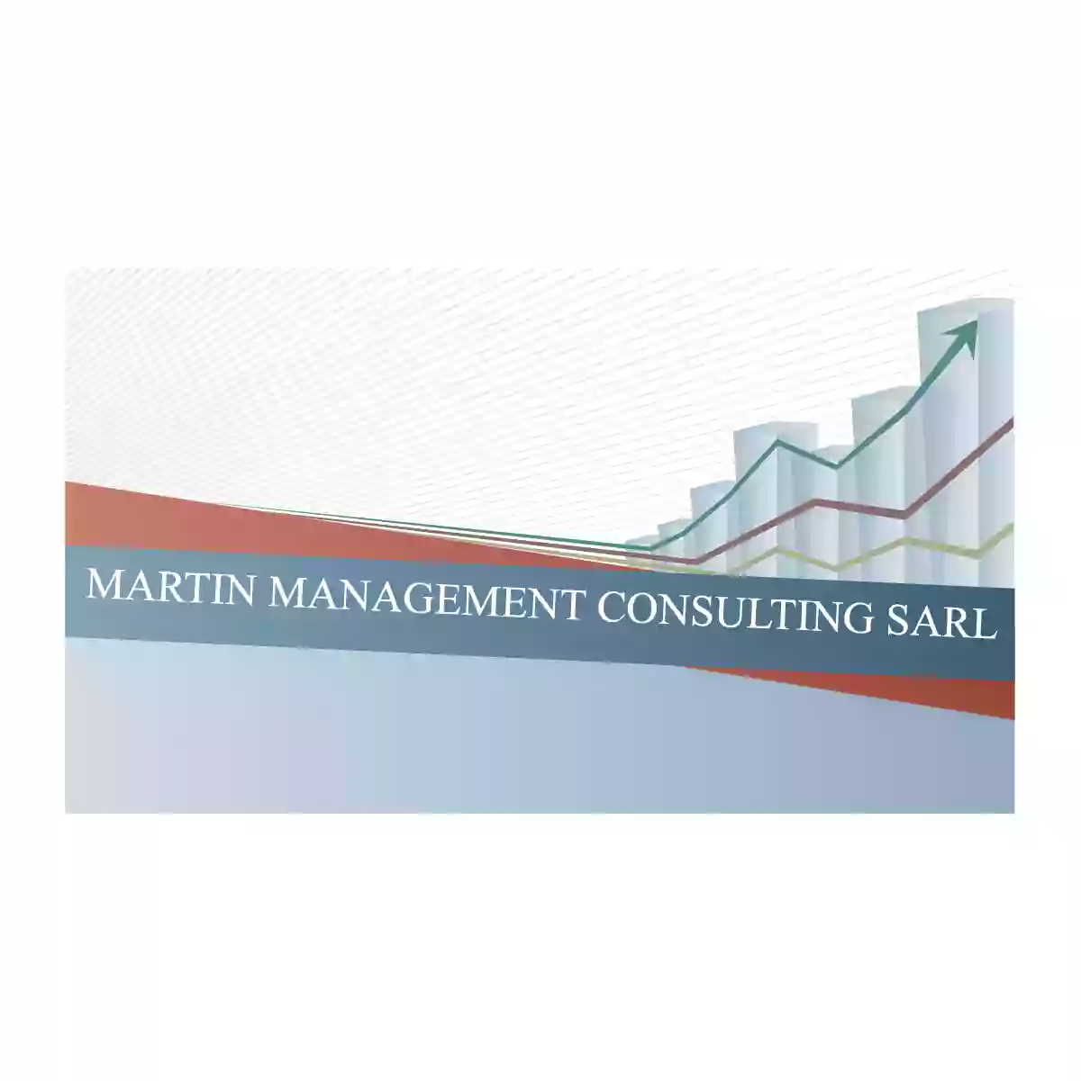 Martin Management Consulting