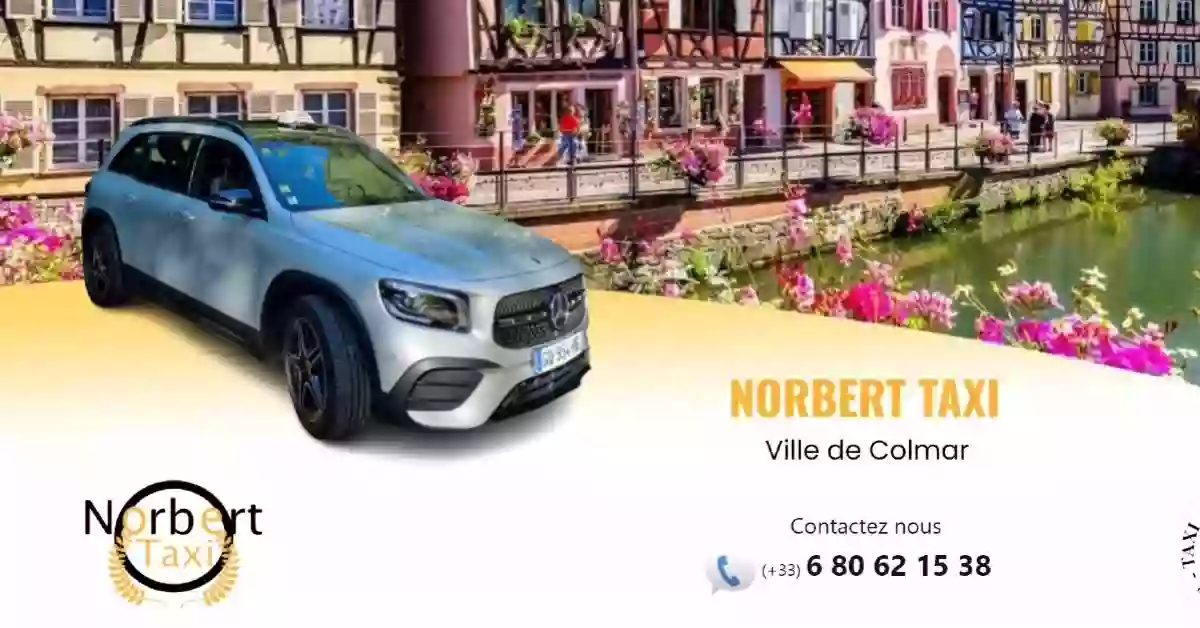 Taxi Norbert à Colmar - Taxi Colmar gare - Taxi Conventionné-Vsl-Colmar