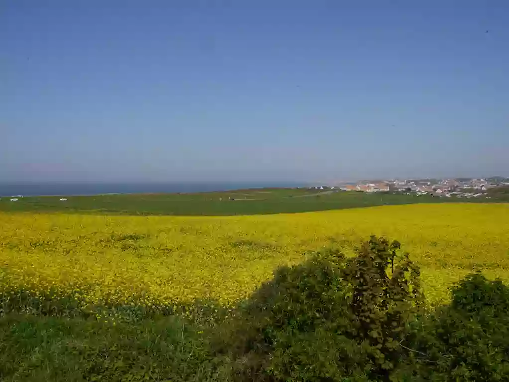 La Baie Saint Jean Wimereux