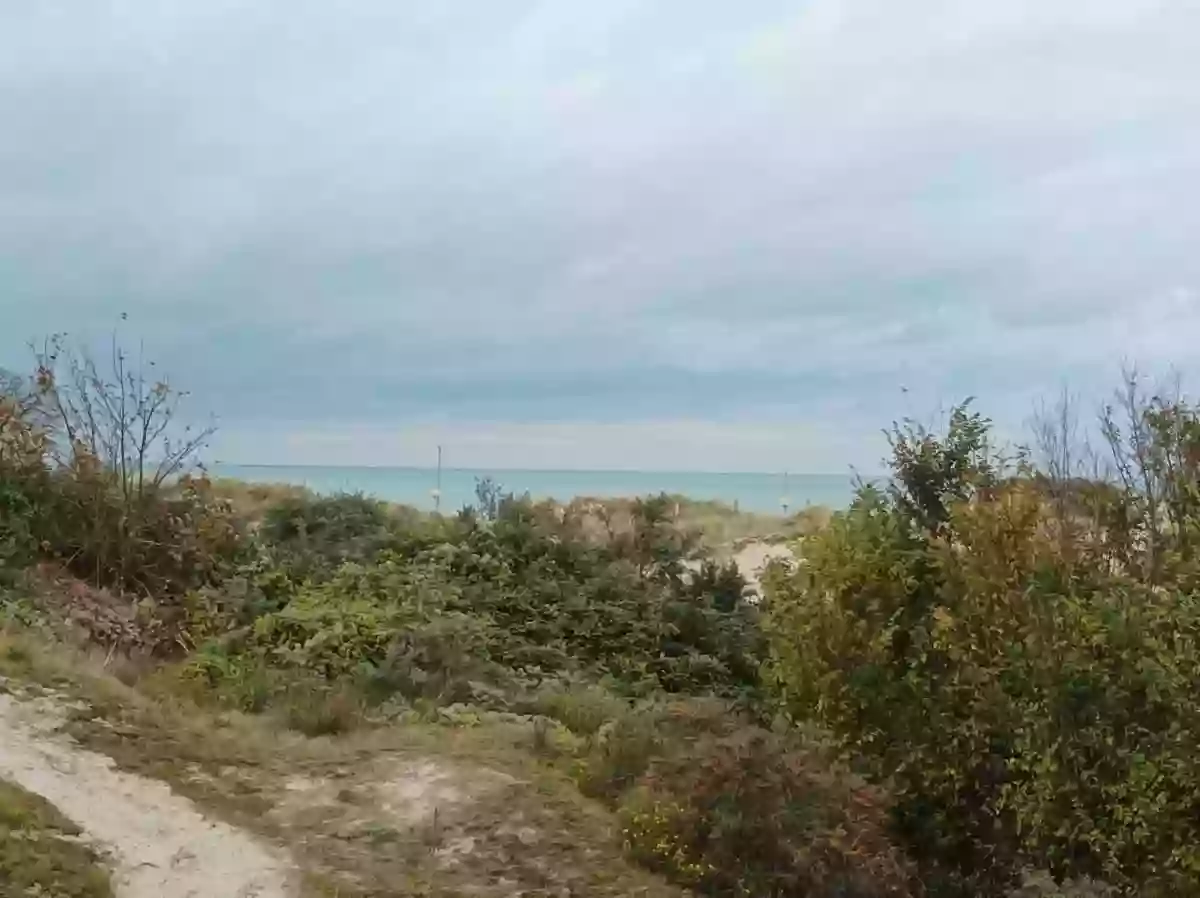 Les pieds dans le sable Malo les bains