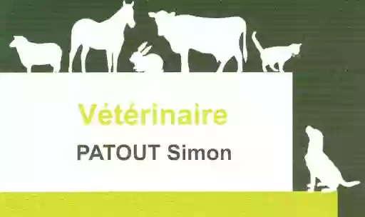 Vétérinaire Patout Simon - Urgences & consultations vétérinaires à domicile