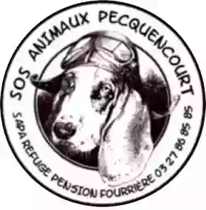 SOS Animaux