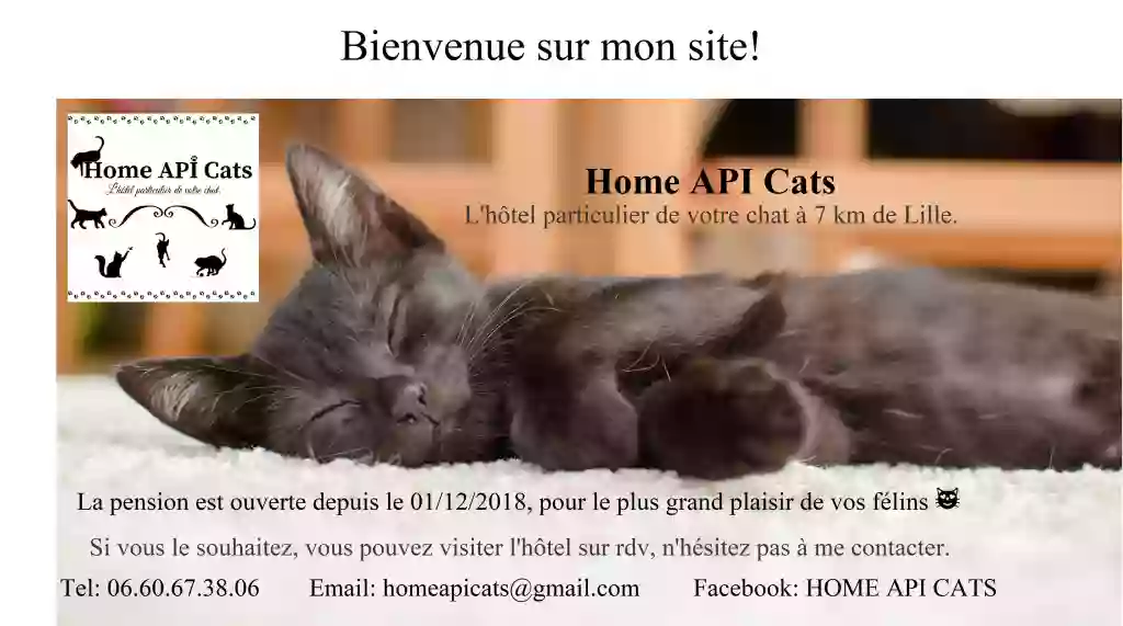Home API Cats