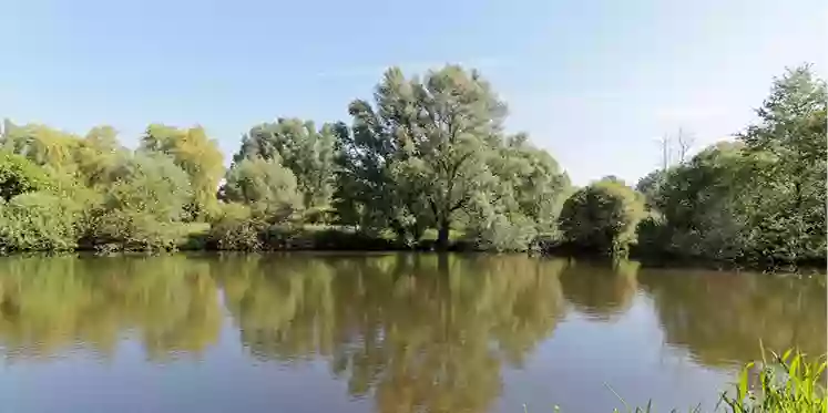 Étang des Poissons Rouges