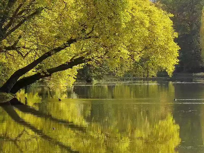 Parc Jean-Jacques Rousseau