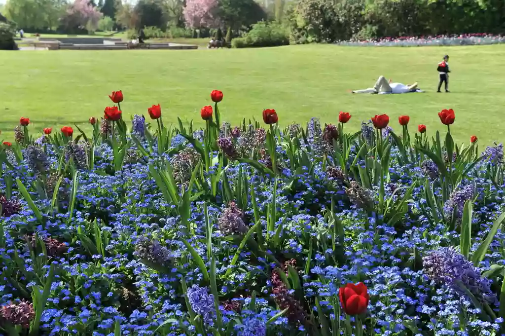 Jardin des Plantes