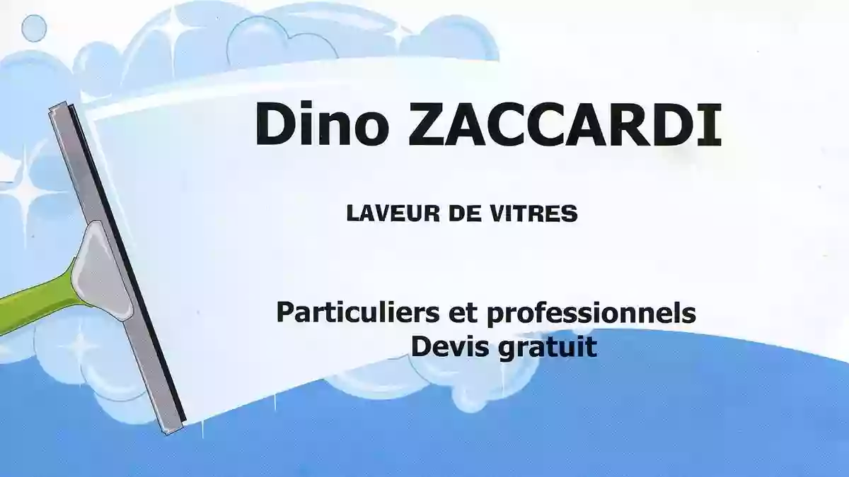 Dino Zaccardi Laveur de Vitres