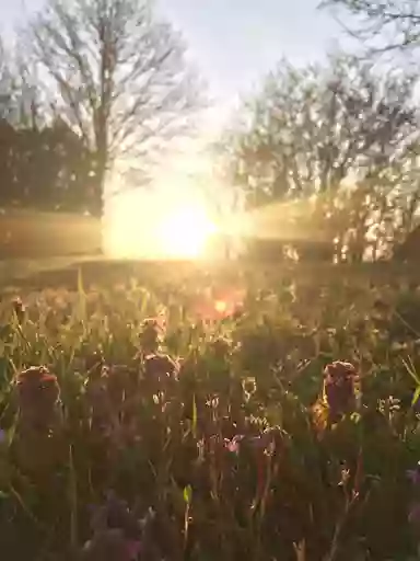 Le souffle de L 'Aura sophrologue - reiki