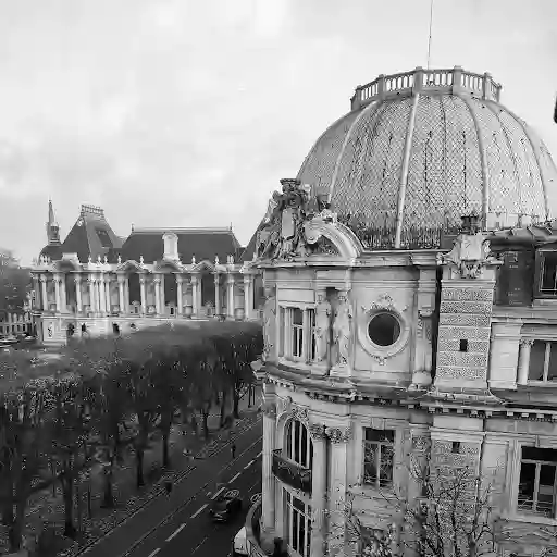 Marine Marquet Avocate - Défense des travailleur•se•s - Droit du travail & Droit de la protection sociale