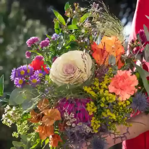 Expression de Fleurs