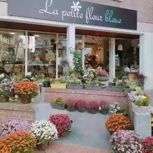 La Petite Fleur Bleue Hazebrouck