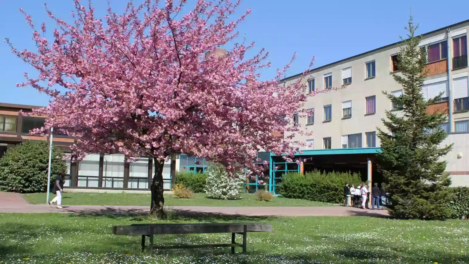 Lycée Polyvalent et Professionnel Jean Rostand