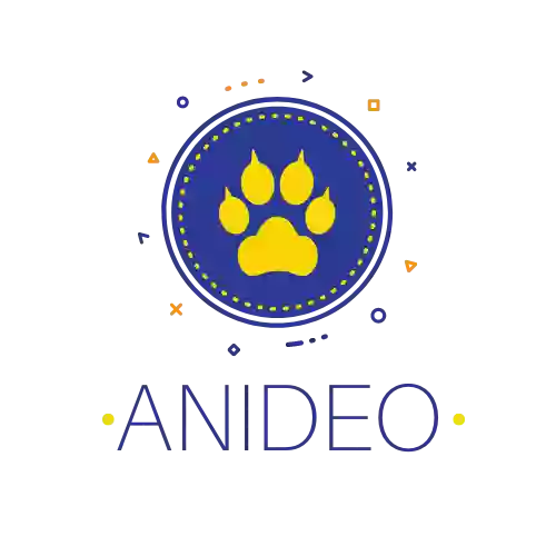 Anideo