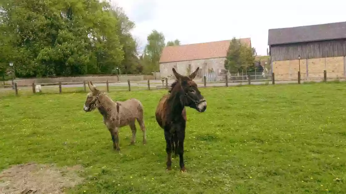 Parc animalier de Janvry