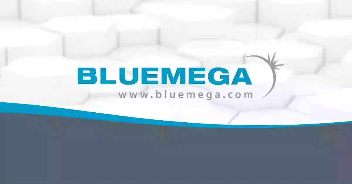 Bluemega Document Print Services