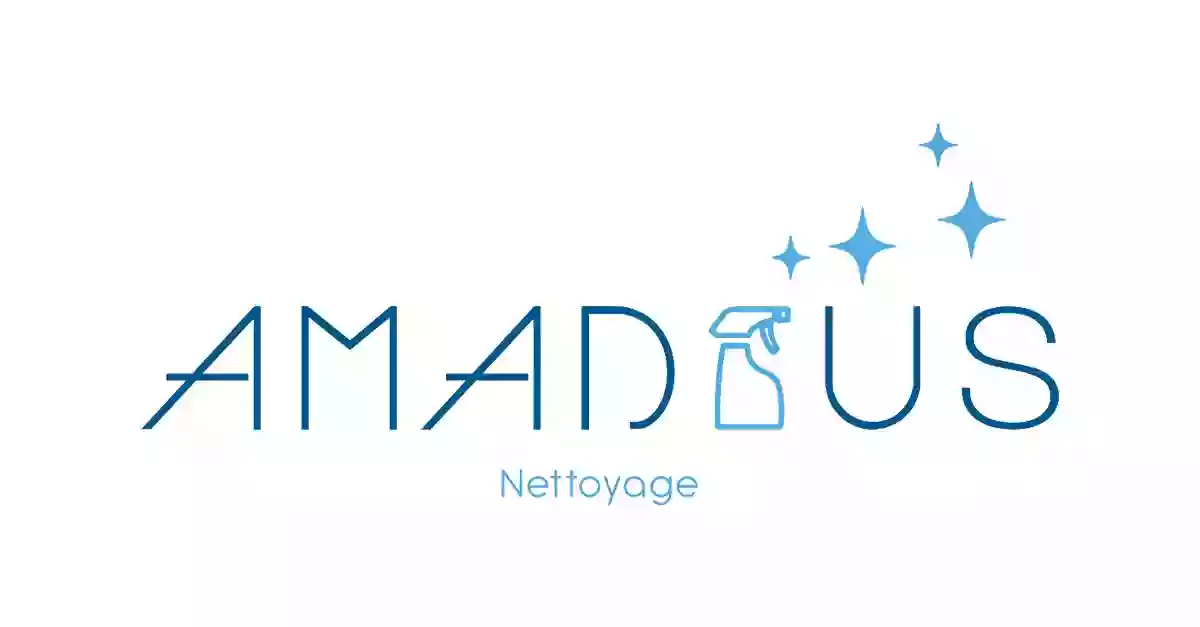 Amadeus Nettoyage & Services Associés