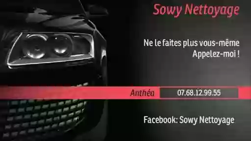Sowy lavage auto